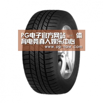 PG电子产品名称八
