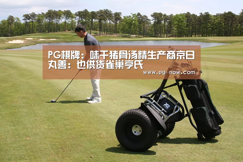 PG麻将