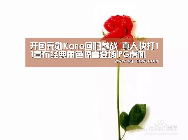 PG虎机