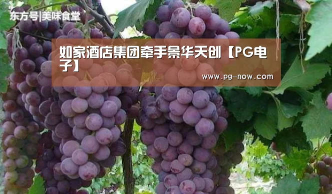 如家酒店集团牵手景华天创【PG电子】(图1) PG棋牌