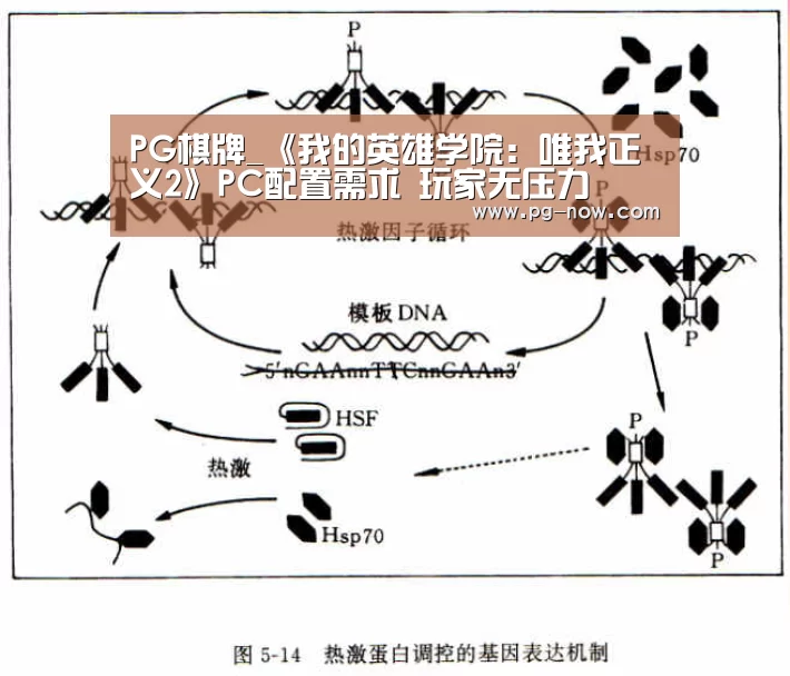 PG棋牌_《我的英雄学院:唯我正义2》PC配置需求 玩家无压力(图1) PG棋牌