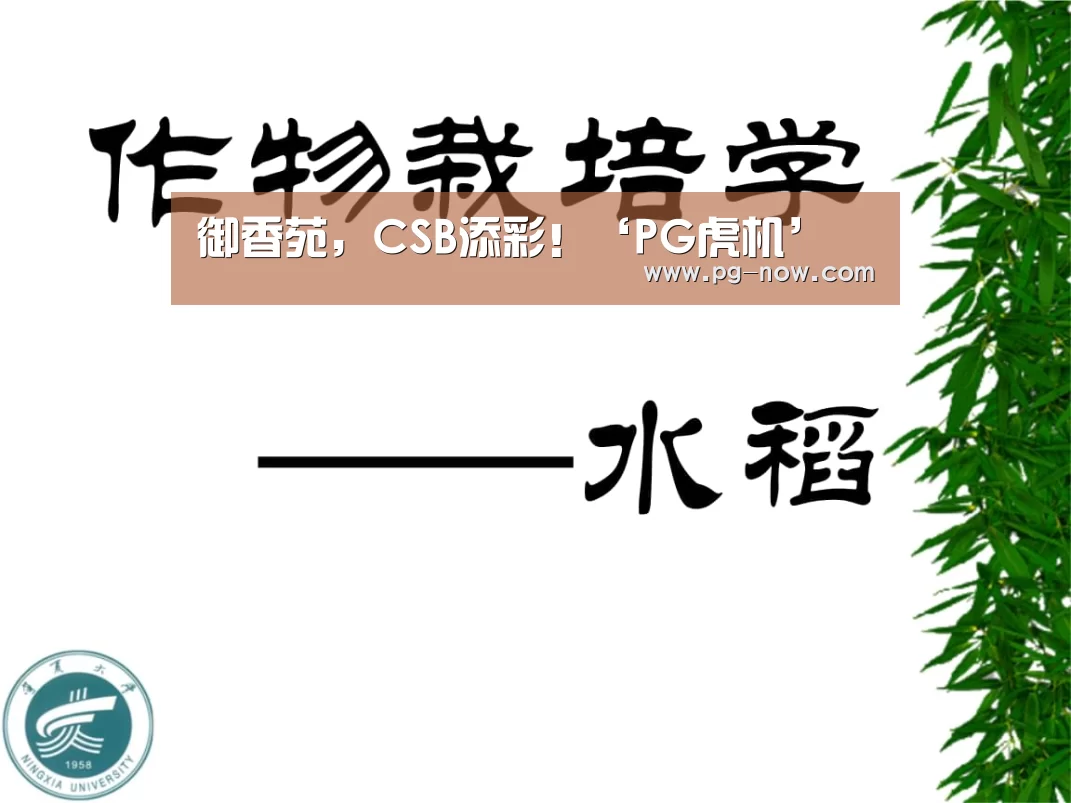 御香苑,CSB添彩!‘PG虎机’(图2) PG电子