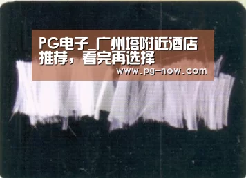 PG电子_广州塔附近酒店推荐,看完再选择(图1) PG棋牌